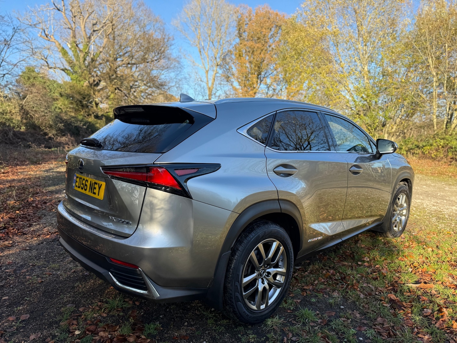 Used Lexus NX 2019 for sale - 76706319: Photo 32