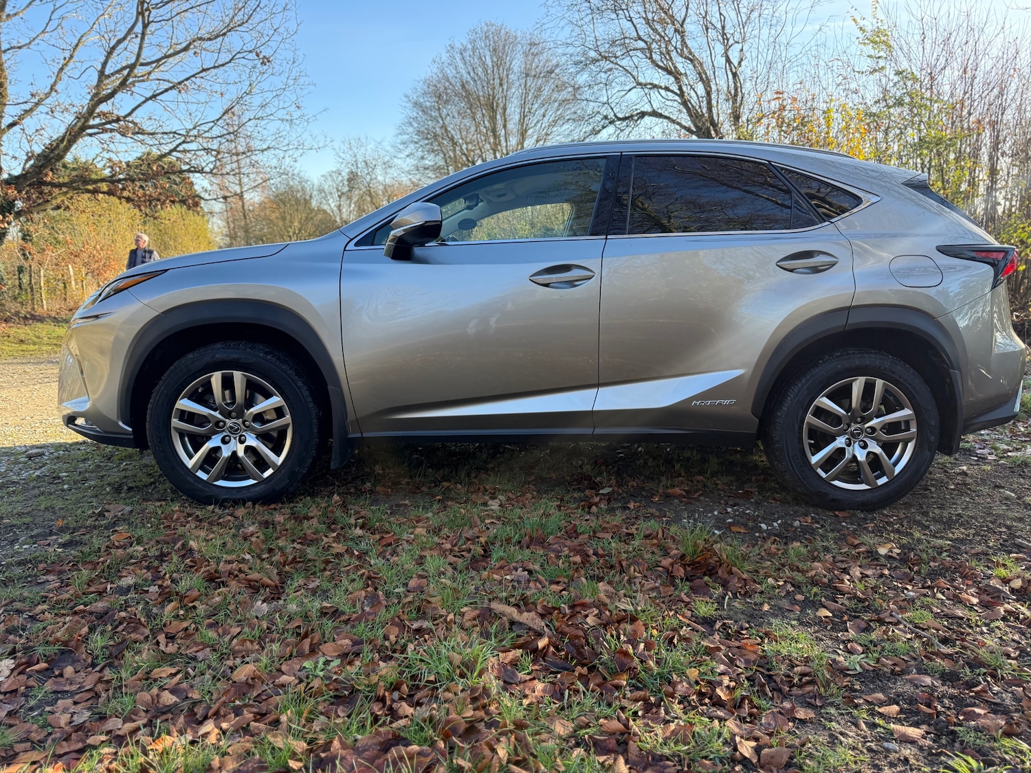 Used Lexus NX 2019 for sale - 76706319: Photo 33