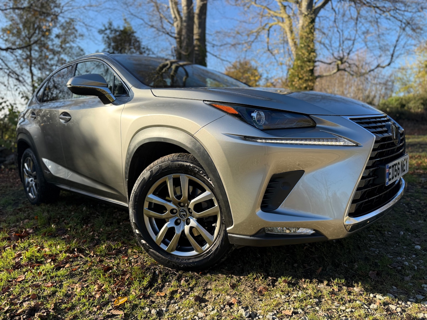 Used Lexus NX 2019 for sale - 76706319: Photo 34
