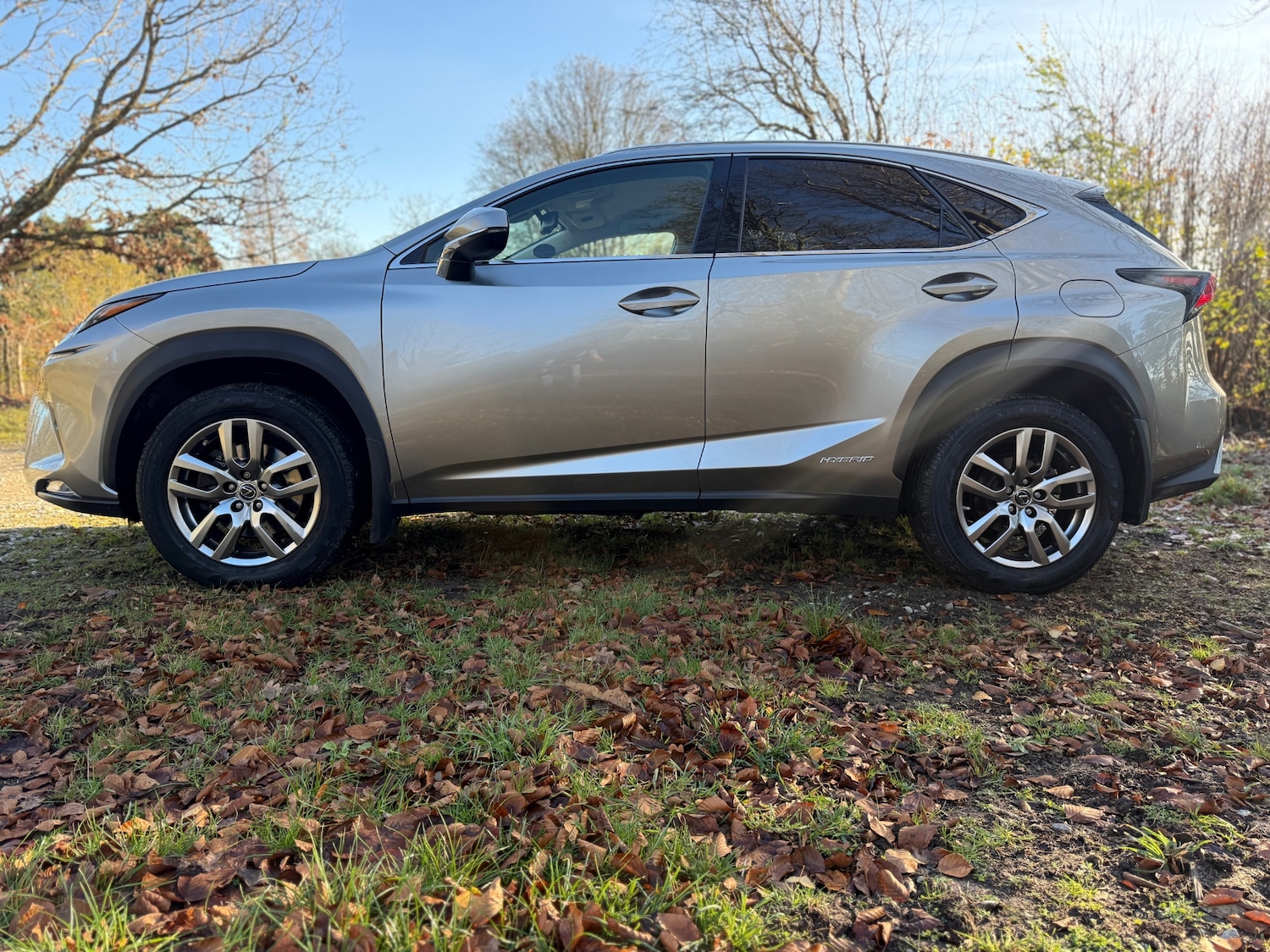 Used Lexus NX 2019 for sale - 76706319: Photo 35