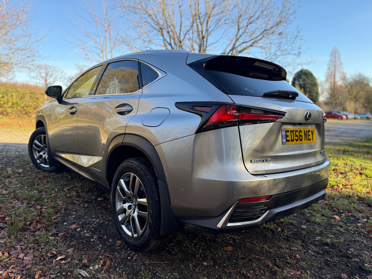 Used Lexus NX 2019 for sale - 76706319: Photo 36