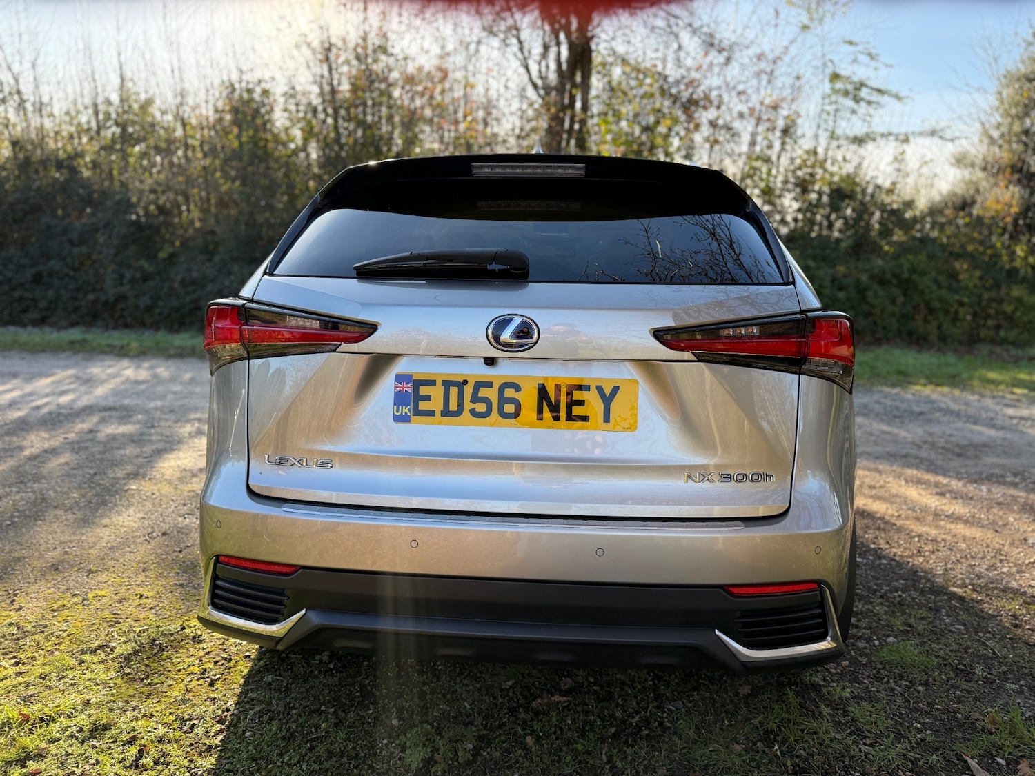 Used Lexus NX 2019 for sale - 76706319: Photo 4