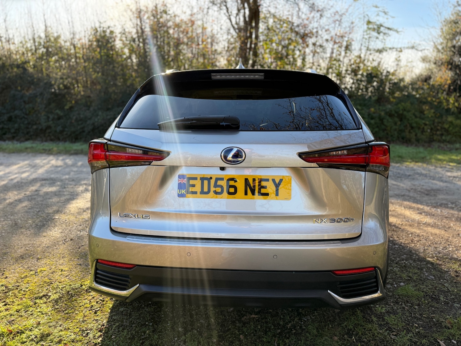 Used Lexus NX 2019 for sale - 76706319: Photo 5