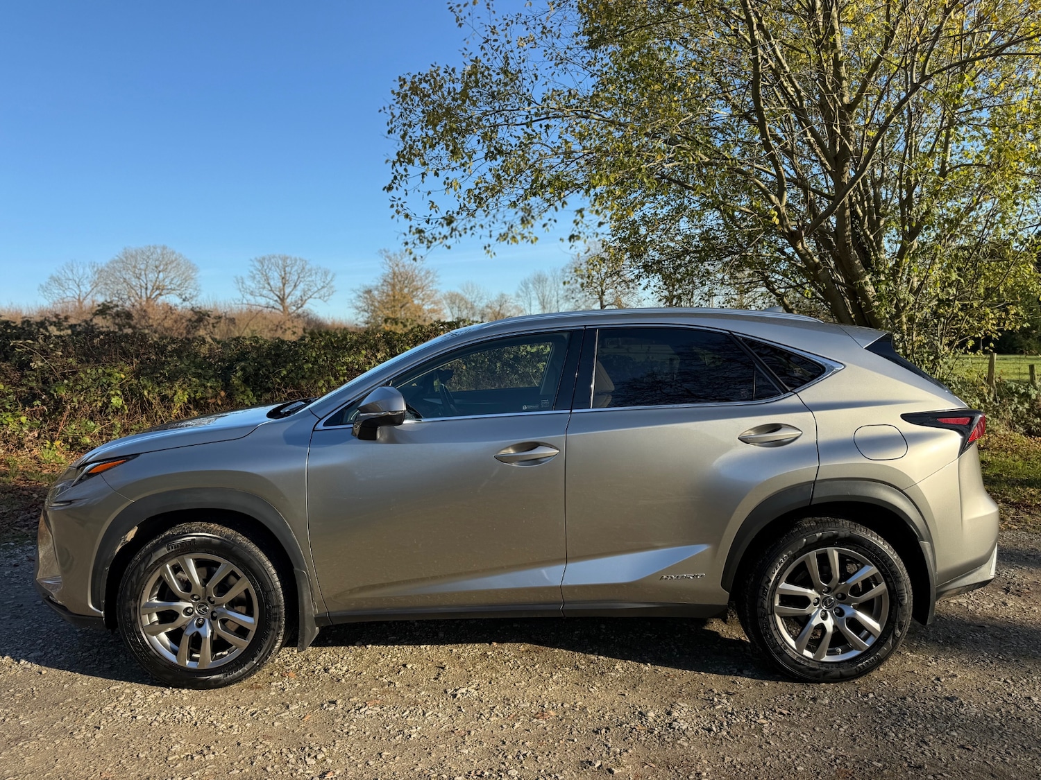 Used Lexus NX 2019 for sale - 76706319: Photo 50