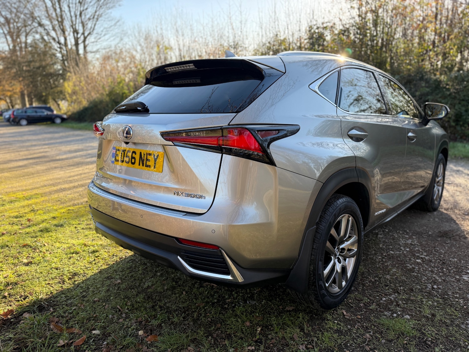 Used Lexus NX 2019 for sale - 76706319: Photo 6