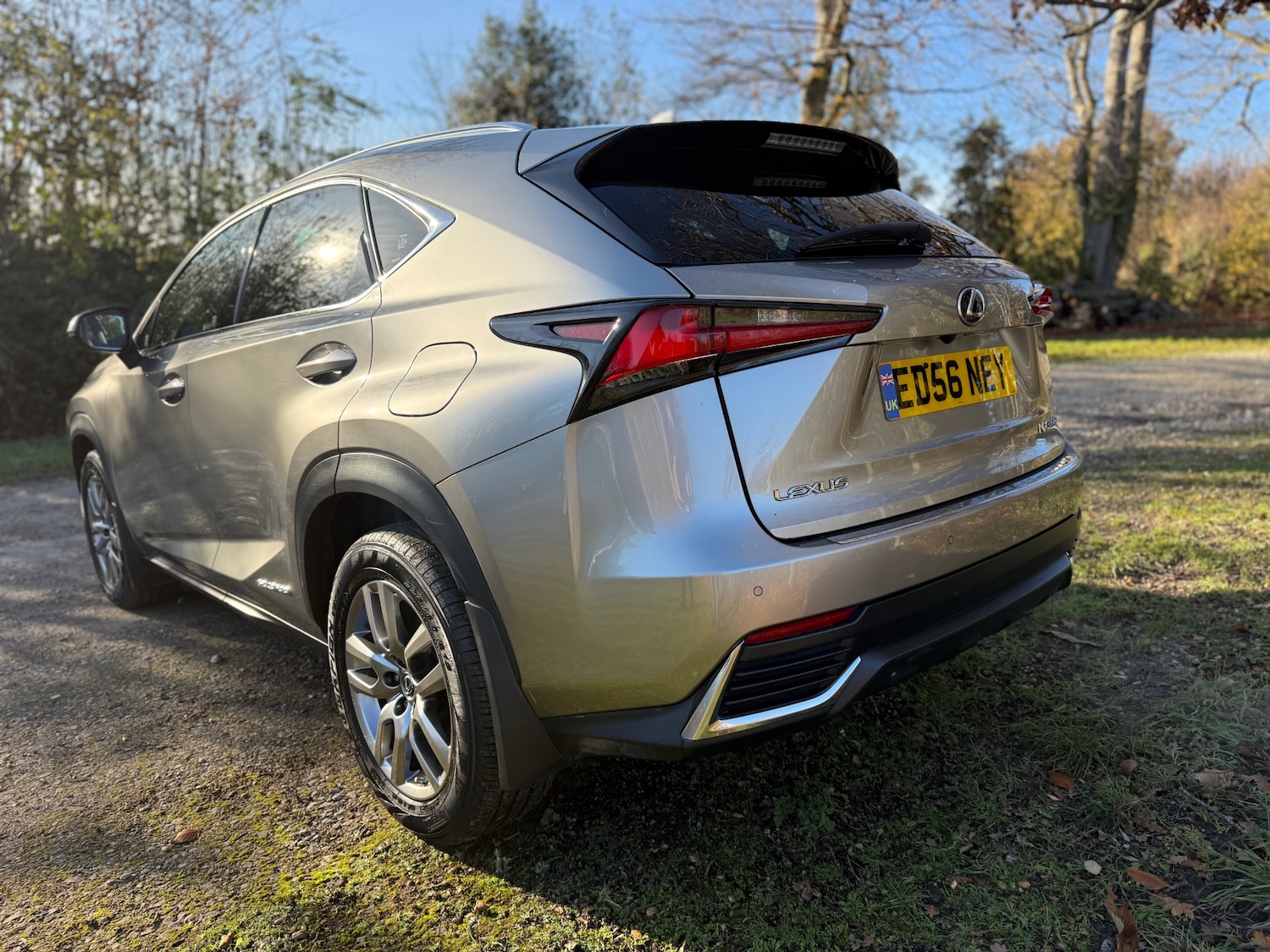 Used Lexus NX 2019 for sale - 76706319: Photo 7