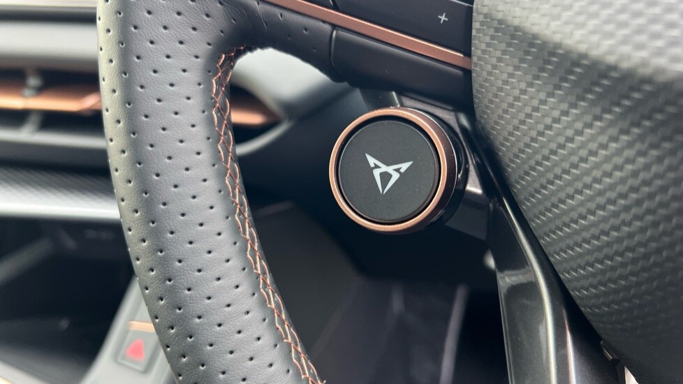 Used Cupra Terramar 2025 for sale - 76901530: Photo 46