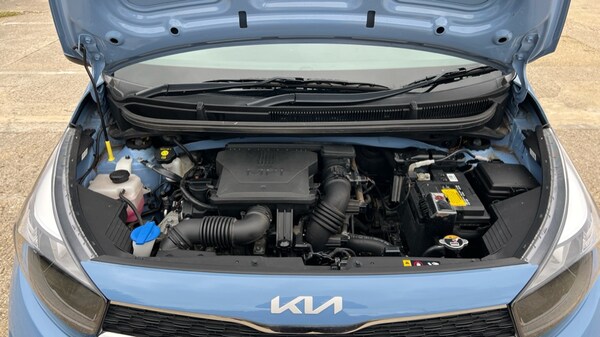 Used Kia Picanto 2021 for sale - 76130515: Photo 16