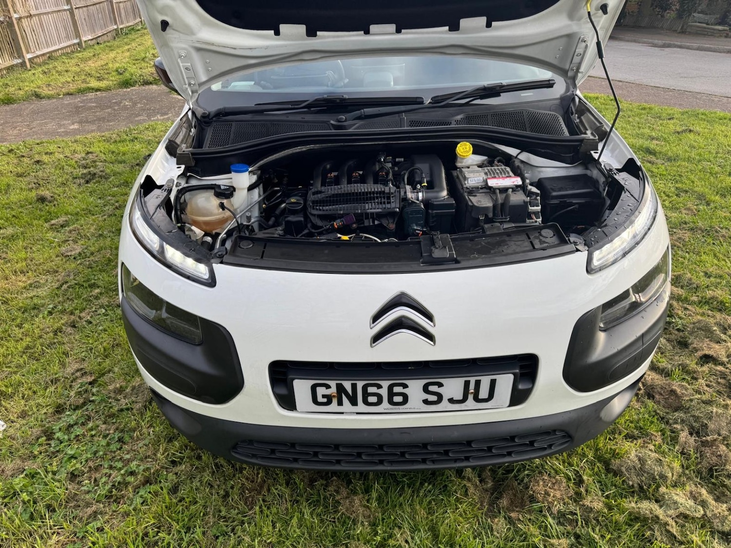 Used Citroen C4 Cactus 2016 for sale - 78062237: Photo 12