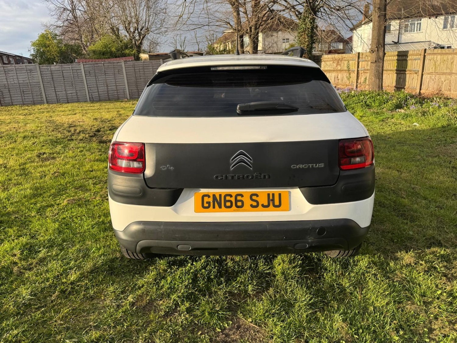 Used Citroen C4 Cactus 2016 for sale - 78062237: Photo 13