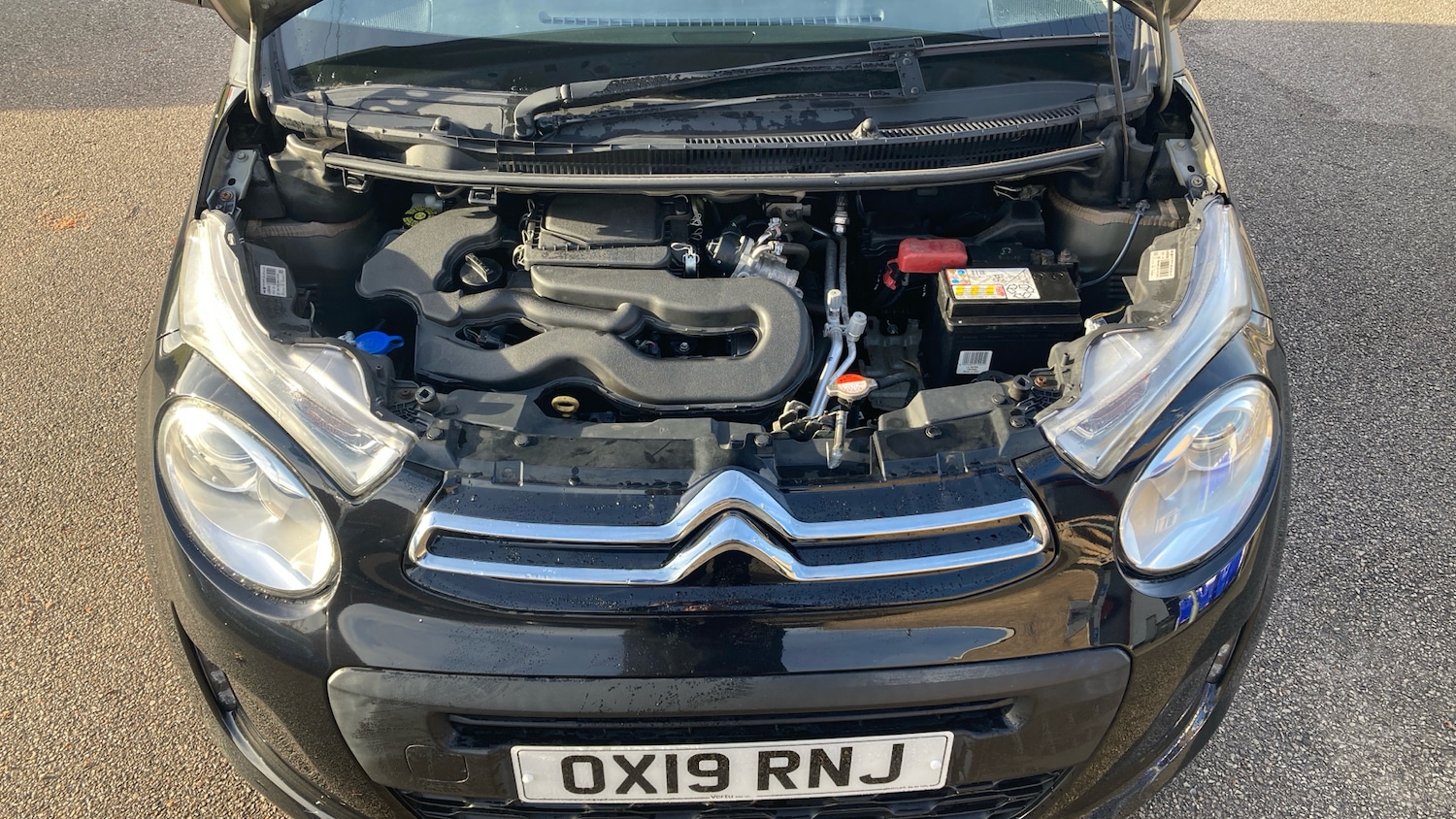 Used Citroen C1 2019 for sale - 76743662: Photo 8
