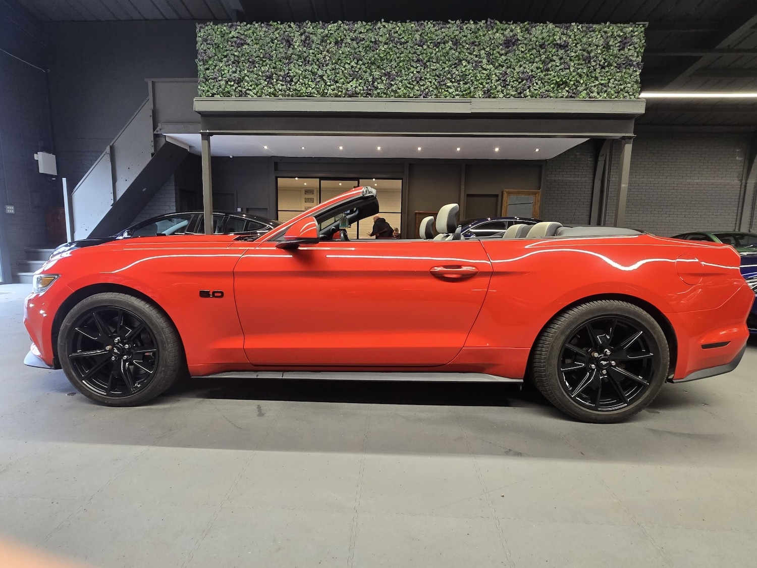 Used Ford Mustang 2016 for sale - 78084409: Photo 10