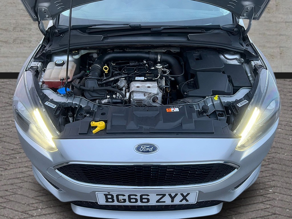 Used Ford Focus 2016 for sale - 77742839: Photo 10