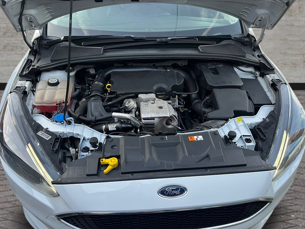 Used Ford Focus 2015 for sale - 77662844: Photo 6