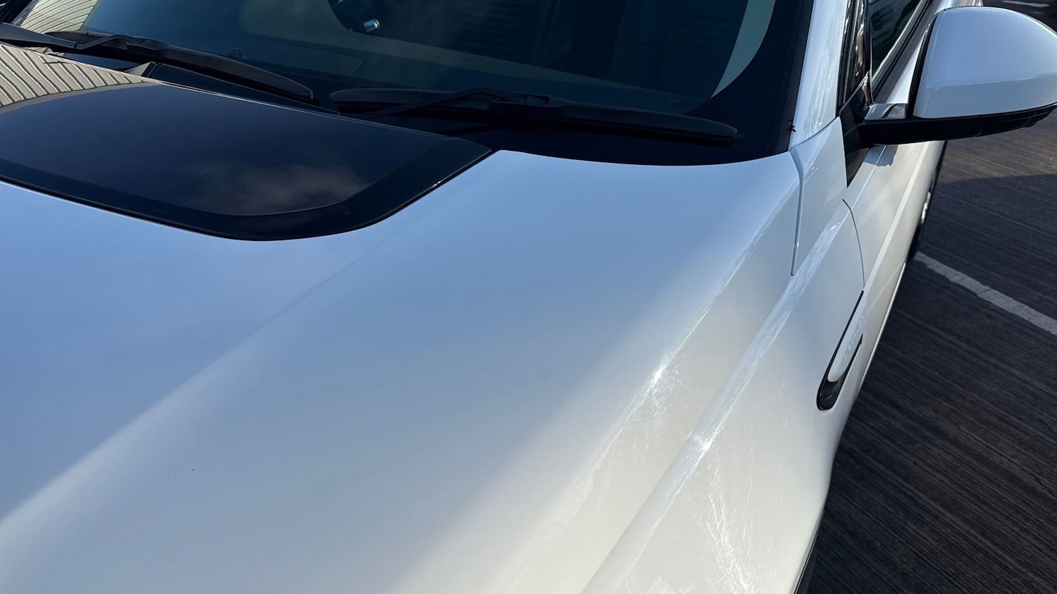 Used Land Rover Discovery Sport 2019 for sale - 77176999: Photo 20