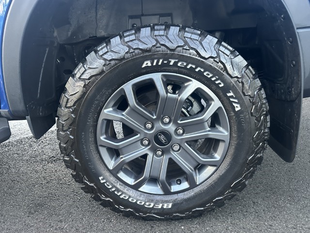 Used Ford Ranger 2025 for sale - 77258401: Photo 8