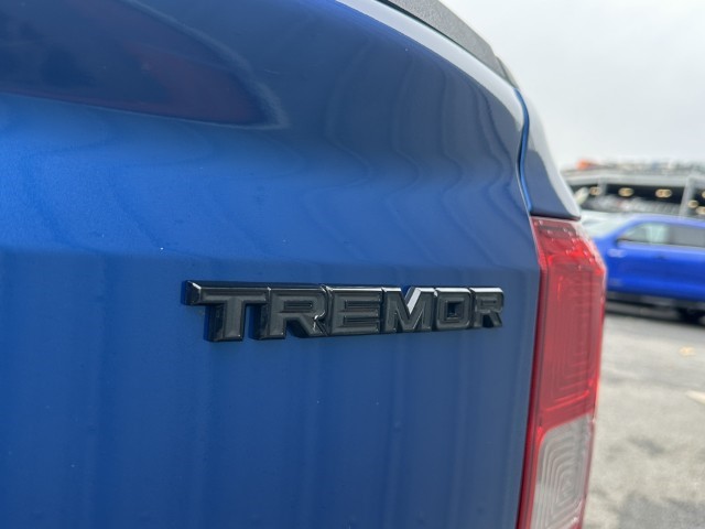 Used Ford Ranger 2024 for sale - 76981023: Photo 31