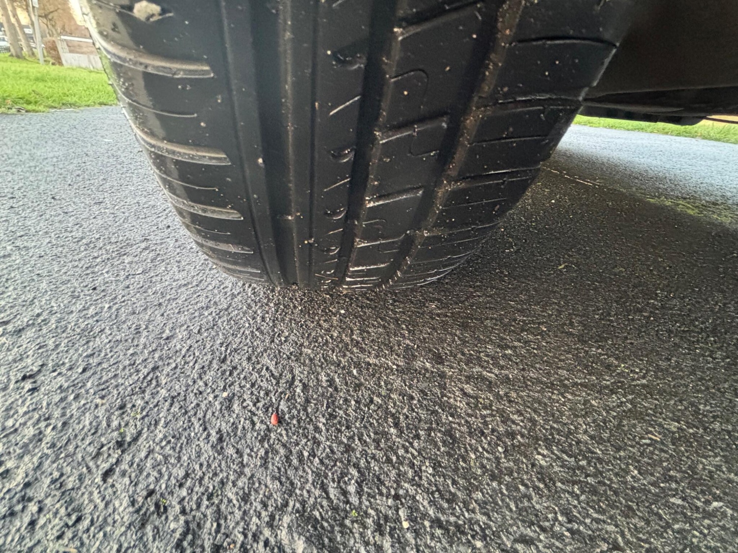 Used Volkswagen Polo 2009 for sale - 76926092: Photo 13