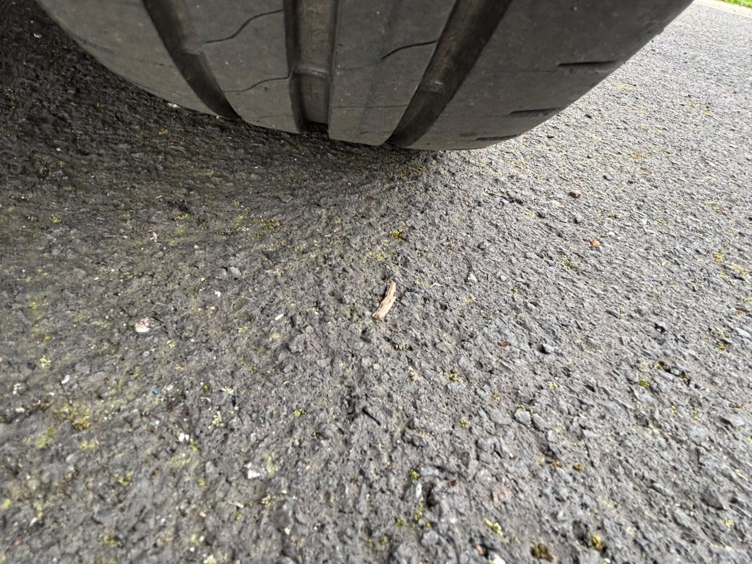 Used Skoda Octavia for sale - 77794018: Photo 18