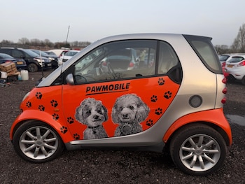 Used smart fortwo 2004 for sale - 78572903: Photo