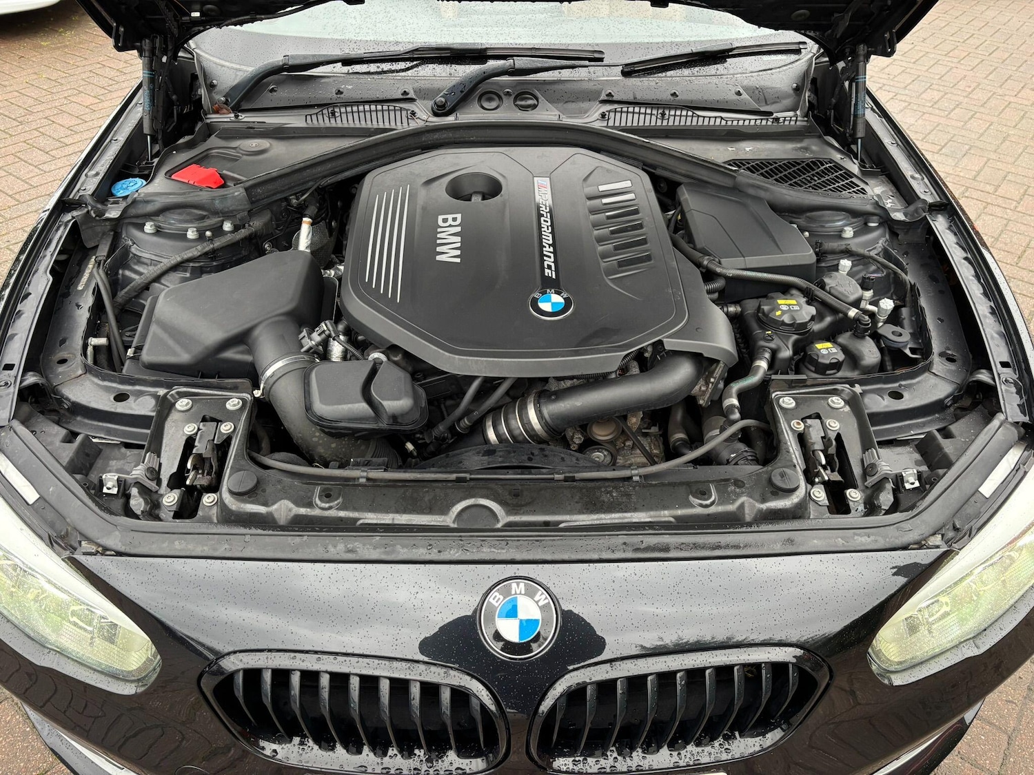 Used BMW 1 Series 2019 for sale - 77001133: Photo 17