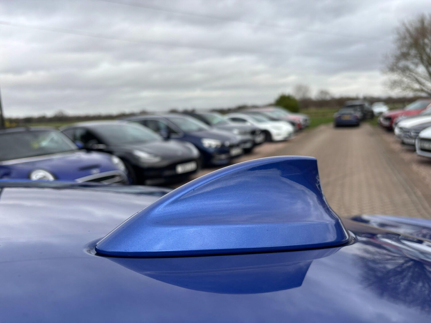 Used BMW 3 Series for sale - 77646269: Photo 32