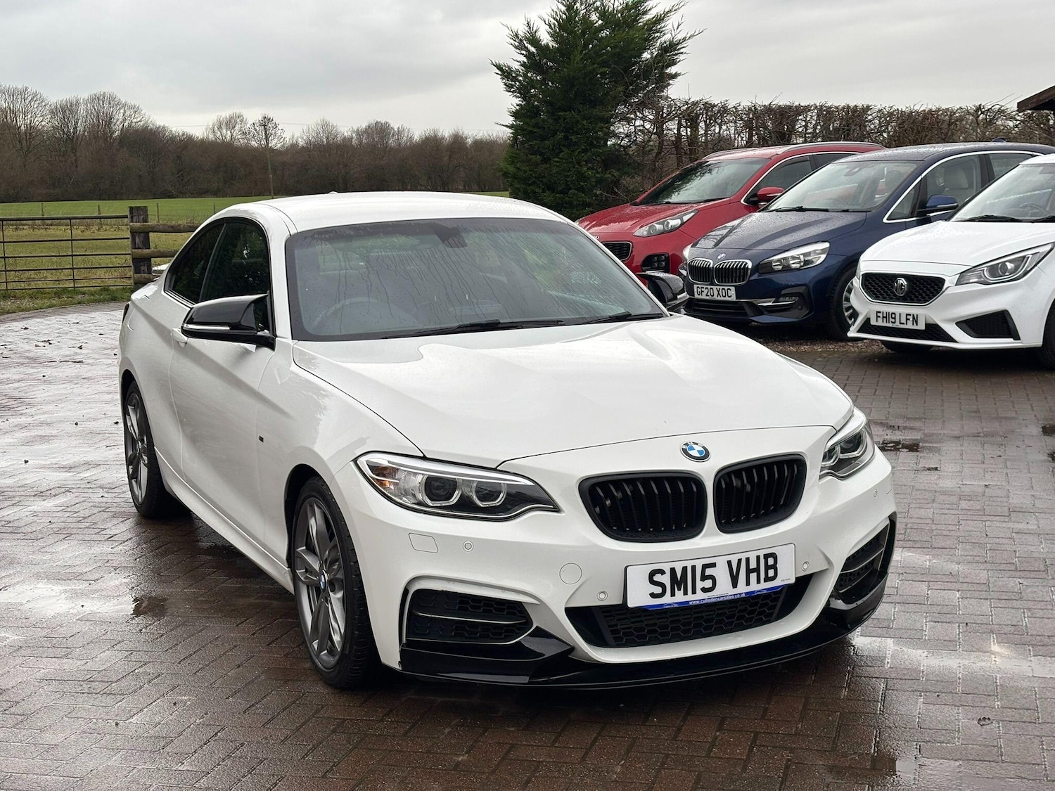 Used BMW 2 Series 2015 for sale - 77156372: Photo 4