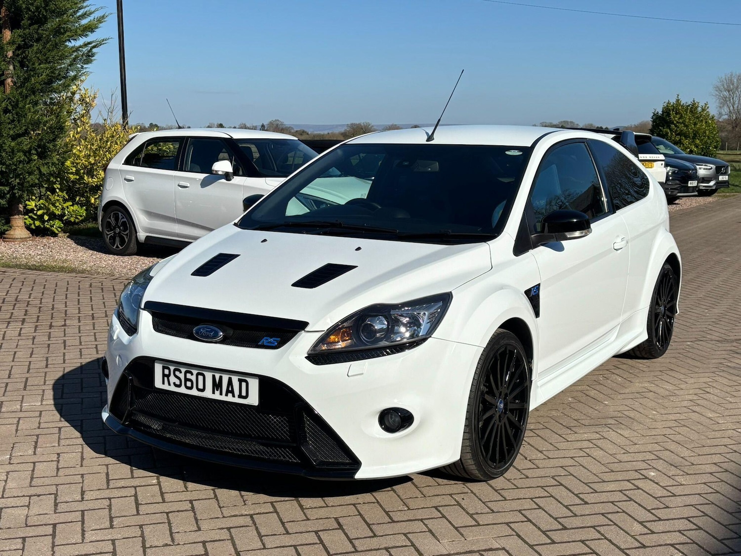 Used Ford Focus 2010 for sale - 77769008: Photo 16