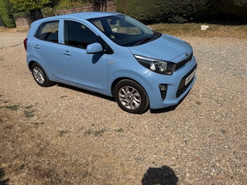 Used Kia Picanto 2017 for sale - 79515614: Photo