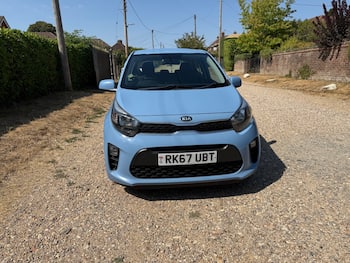 Used Kia Picanto 2017 for sale - 79515614: Photo