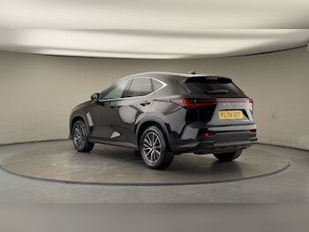 Used Lexus NX 2024 for sale - 76455044: Photo