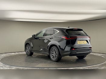 Used Lexus NX 2023 for sale - 75729976: Photo