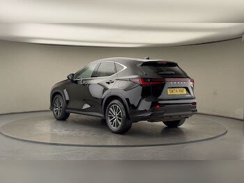 Used Lexus NX 2025 for sale - 78479816: Photo