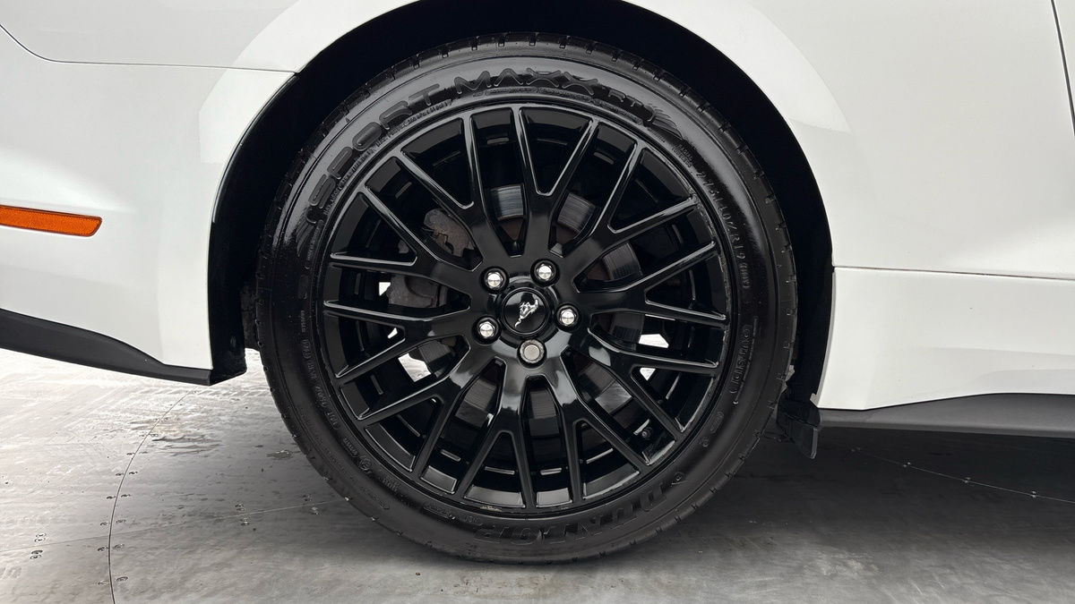 Used Ford Mustang 2019 for sale - 75912463: Photo 10