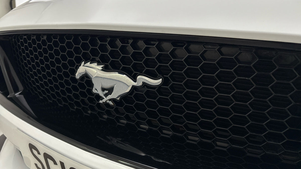 Used Ford Mustang 2019 for sale - 75912463: Photo 24