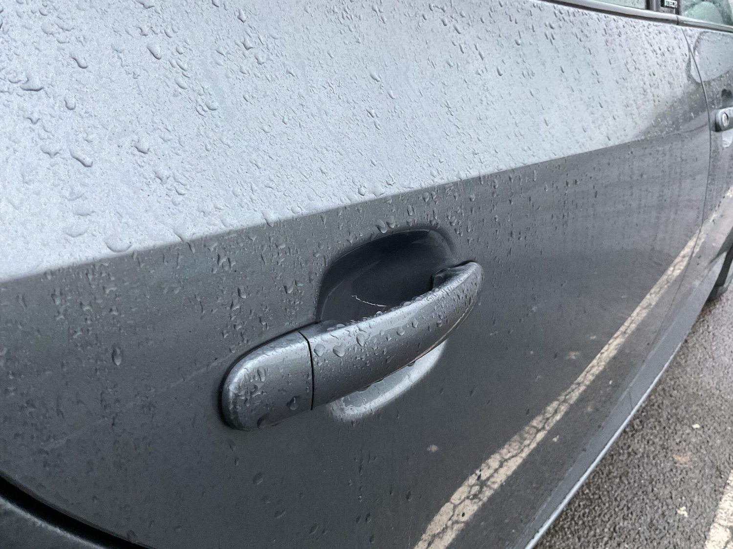 Used SEAT Ibiza 2015 for sale - 77330441: Photo 64