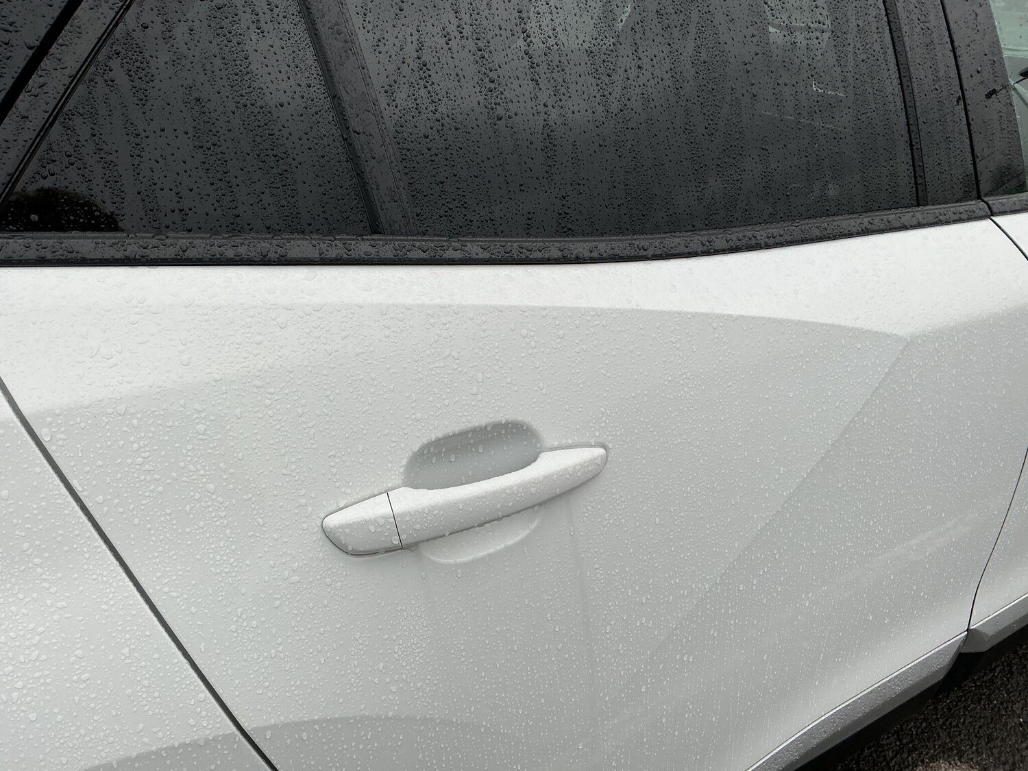 Used Peugeot 2008 2022 for sale - 77400644: Photo 56