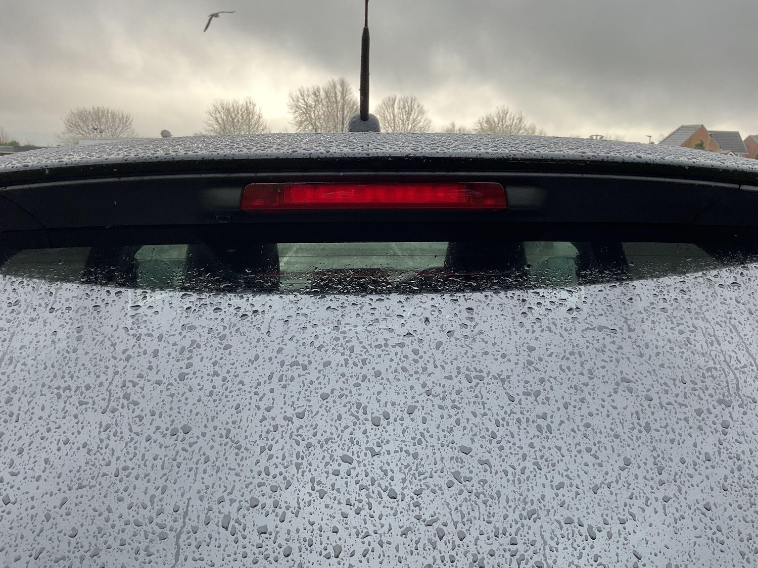 Used Suzuki Swift 2025 for sale - 77550318: Photo 78