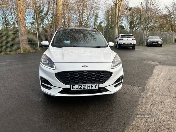 Used Ford Kuga 2022 for sale - 77238702: Photo 2