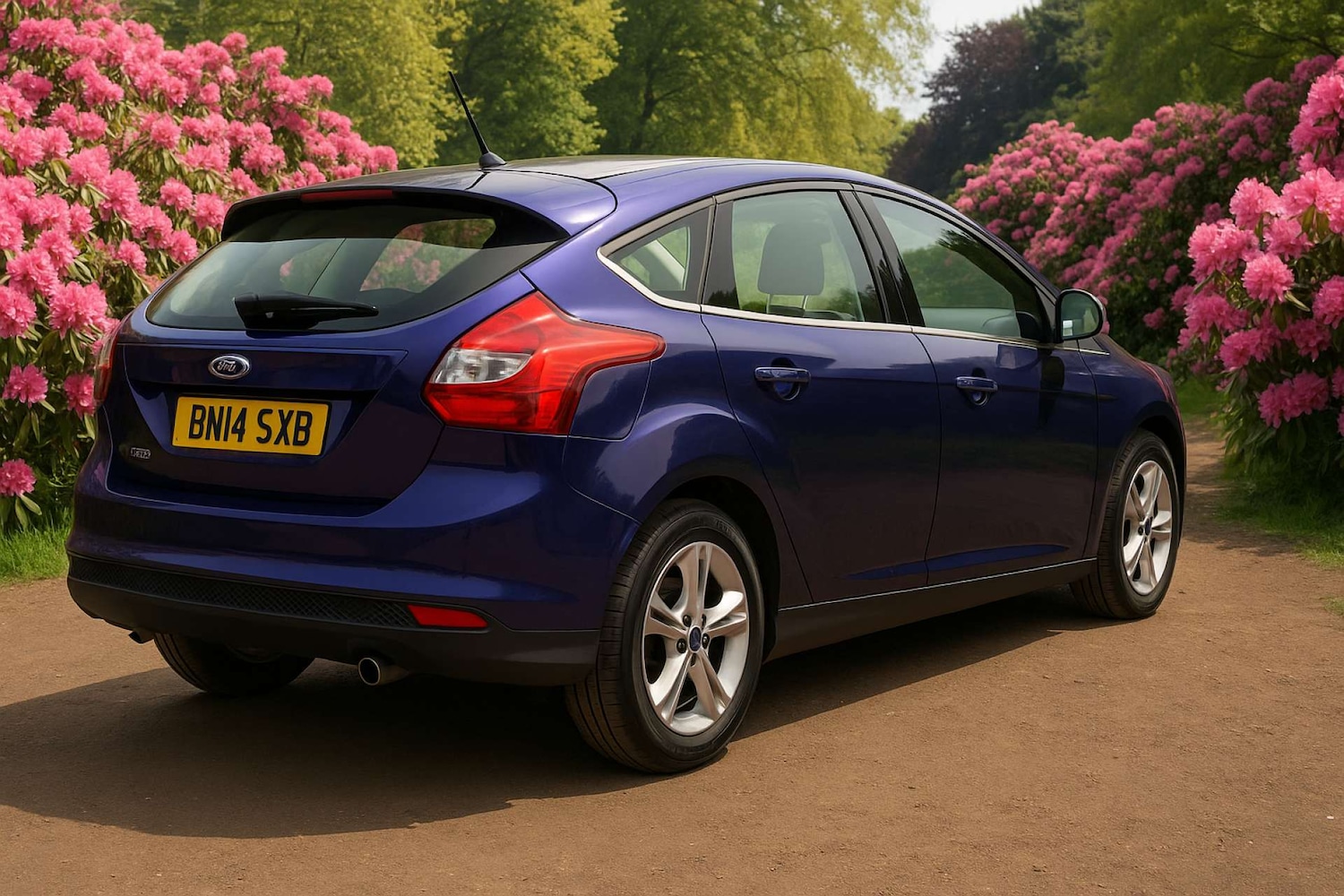 Used Ford Focus 2014 for sale - 76601560: Photo 3