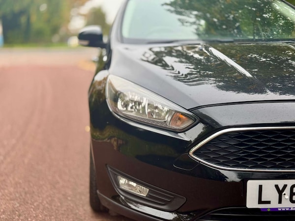 Used Ford Focus 2015 for sale - 75551584: Photo 61