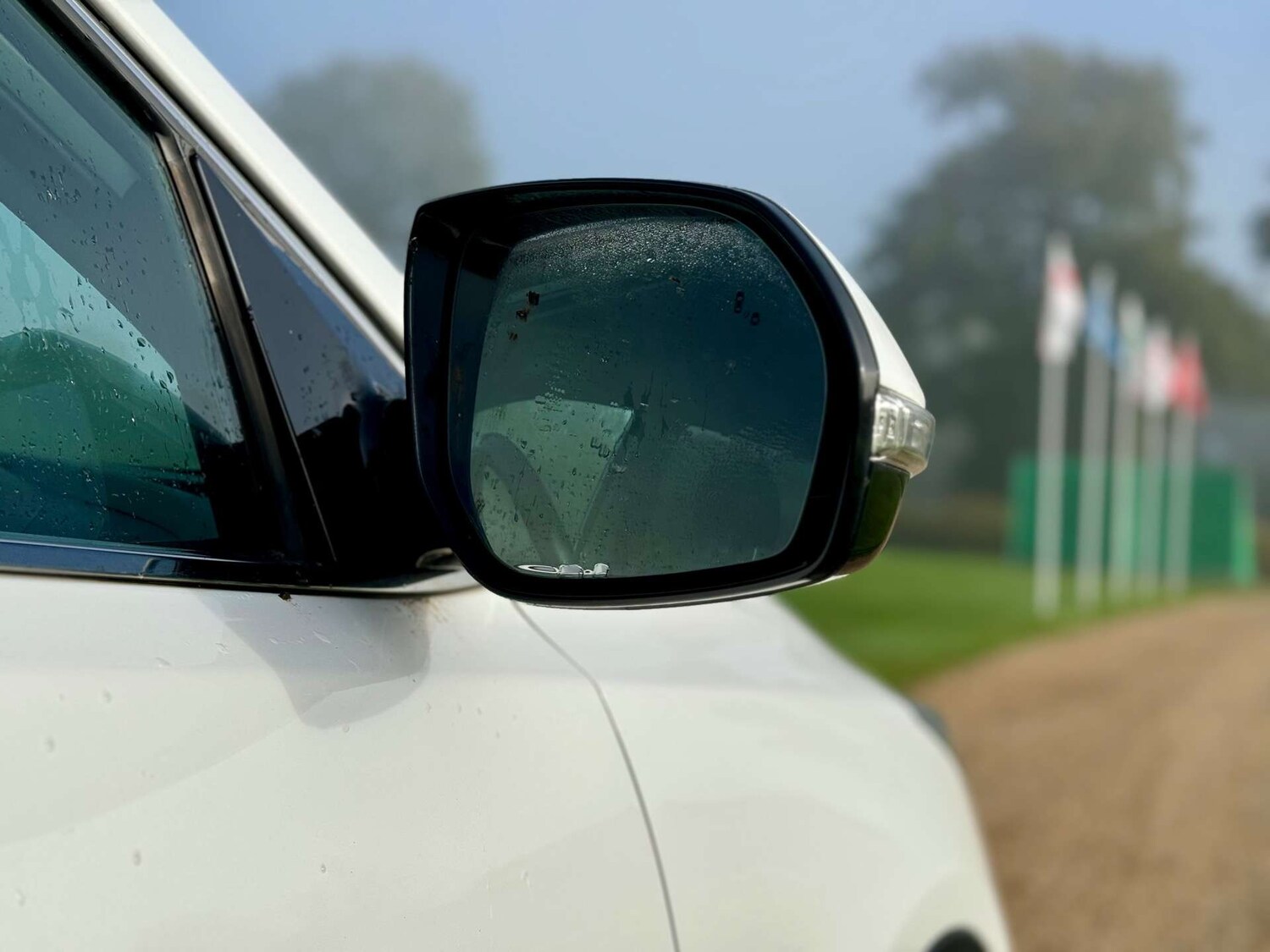 Used Hyundai Santa Fe 2016 for sale - 77492493: Photo 35