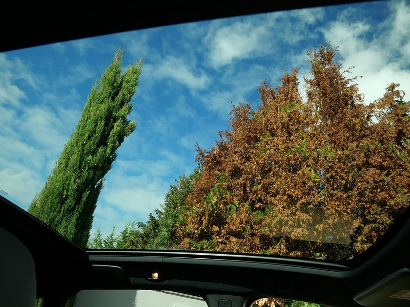 Used Nissan Qashqai for sale - 77260884: Photo 23