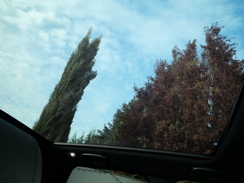 Used Land Rover Discovery Sport 2022 for sale - 76962845: Photo 23