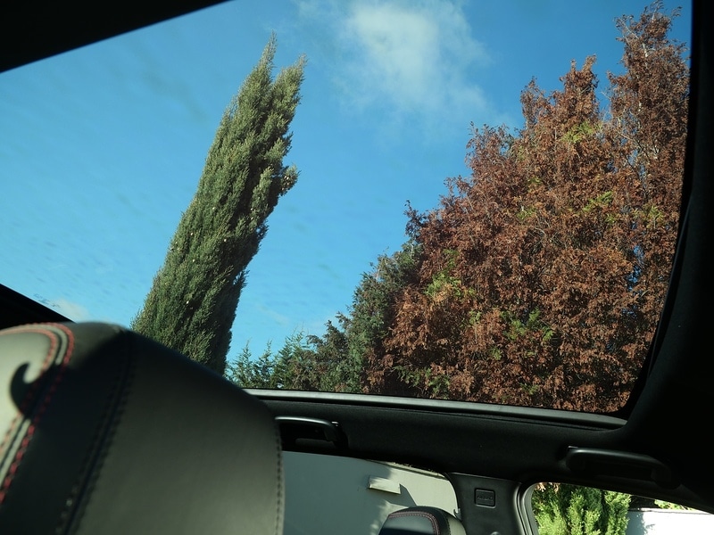 Used Land Rover Discovery Sport 2020 for sale - 76698955: Photo 24