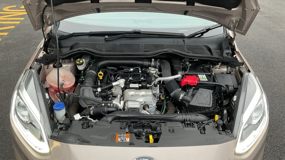 Used Ford Fiesta 2019 for sale - 77036050: Photo 16