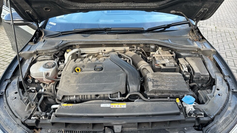 Used Volkswagen Golf 2023 for sale - 77021902: Photo 17