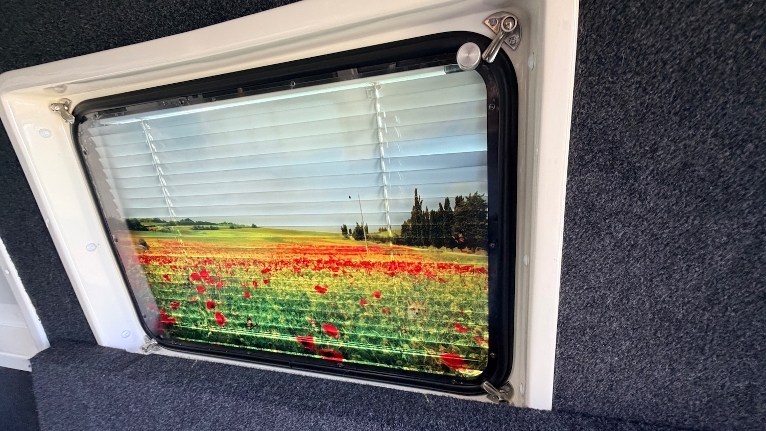 Used Fiat Ducato 2013 for sale - 78108803: Photo 24