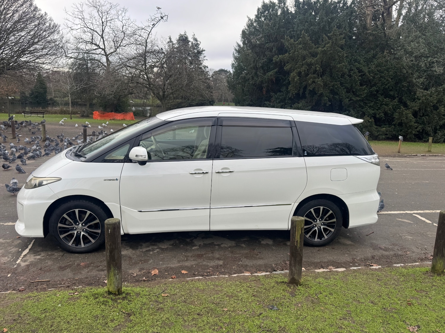 Used Toyota Estima 2026 for sale - 77590362: Photo 7