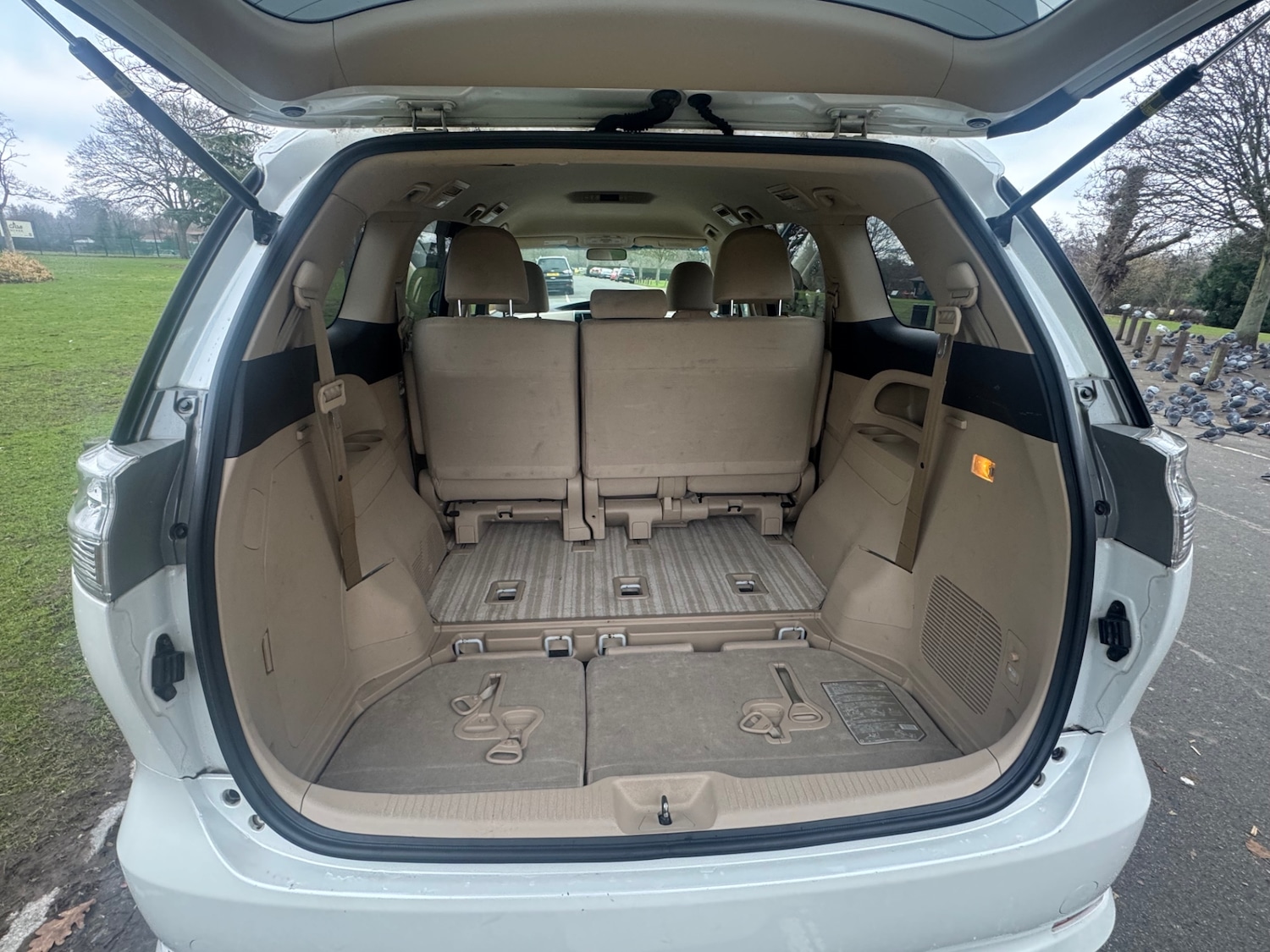 Used Toyota Estima 2026 for sale - 77590362: Photo 9